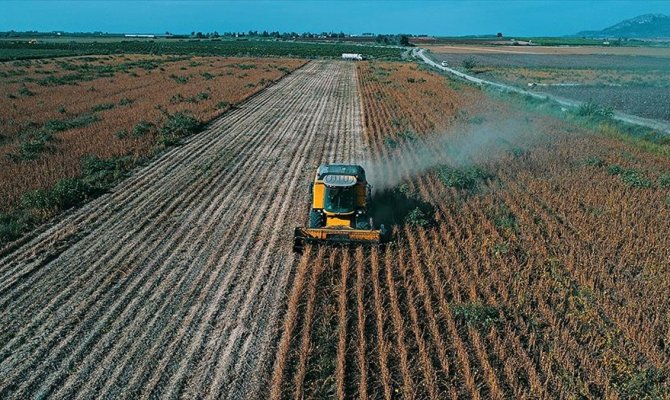 Çiftçiye 490 milyon liralık destek ödemesi yapılacak