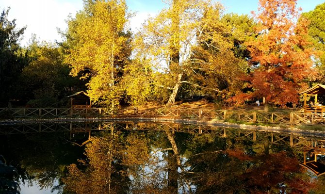 Kahramanmaraş Kapıçam Botanik park görülmeye değer