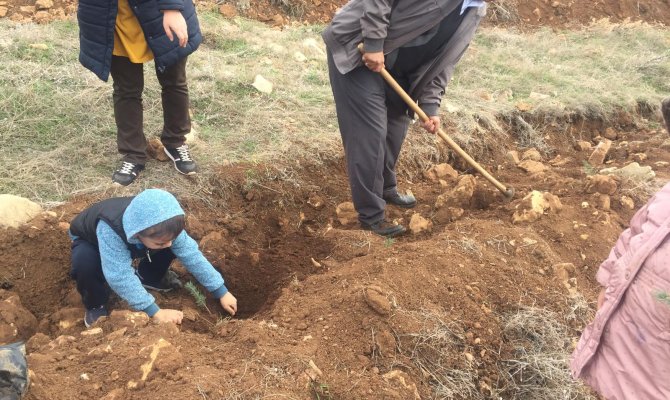 Minikler Senin de Dikili Bir Ağcın Olsun Dediler