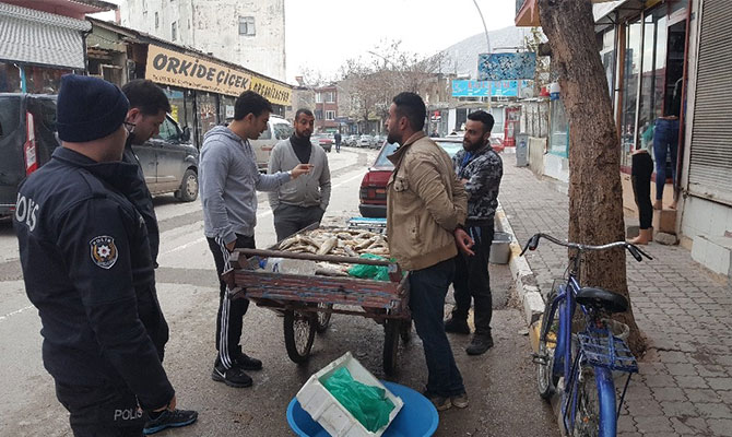 Kaçak Balıklara zabıta el koydu