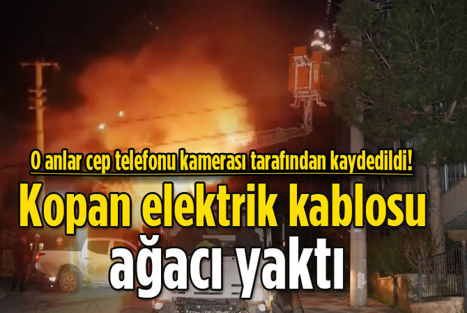 Kopan elektrik kablosu korkuttu