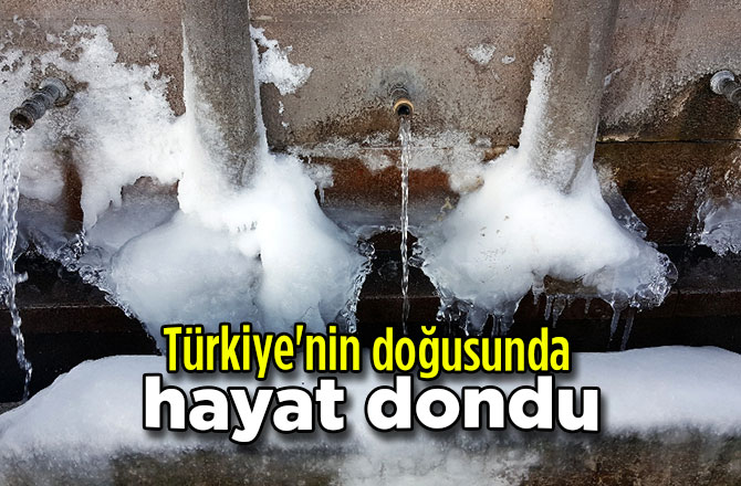 Türkiye'nin doğusunda hayat dondu