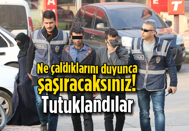 Ne çaldıklarını duyunca şaşıracaksınız! Tutuklandılar