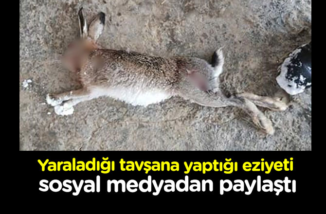 Yaraladığı tavşana yaptığı eziyeti, sosyal medyadan paylaştı