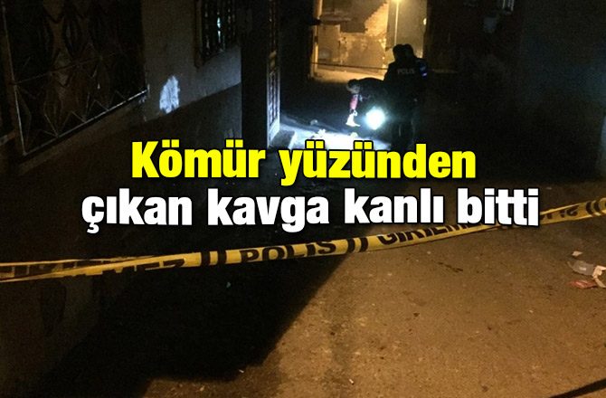 Kömür yüzünden çıkan kavga kanlı bitti