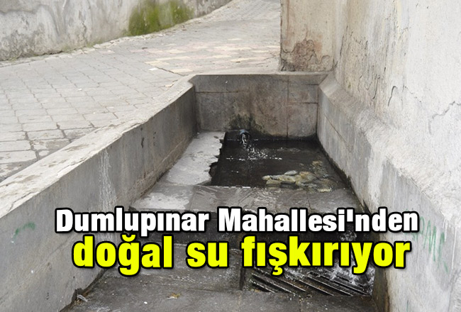 Dumlupınar Mahallesi'nden doğal su fışkırıyor