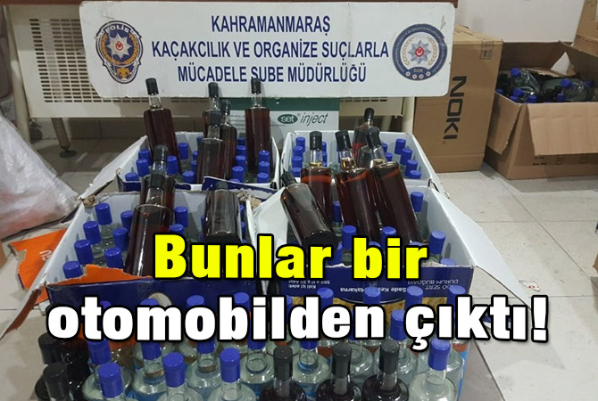 Bunlar bir otomobilden çıktı!