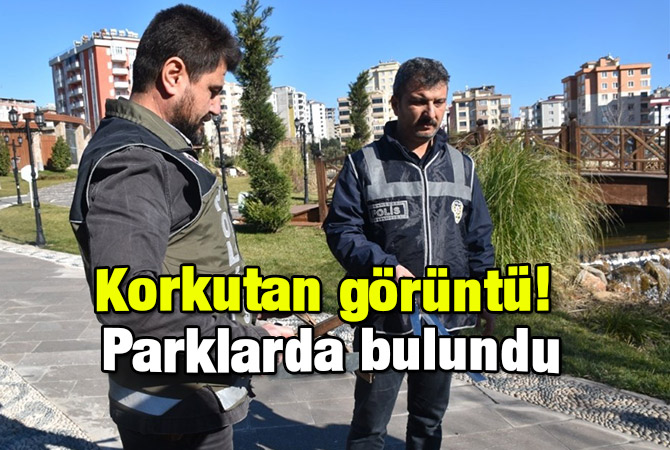 Kahramanmaraş'ta korkutan görüntü! Parklarda bulundu