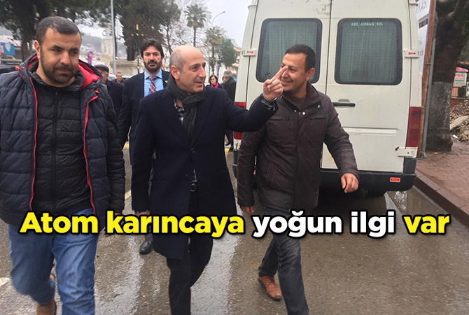 Atom karıncaya yoğun ilgi var