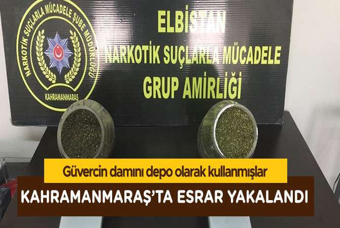 Kahramanmaraş'ta esrarı güvercin damında saklamışlar