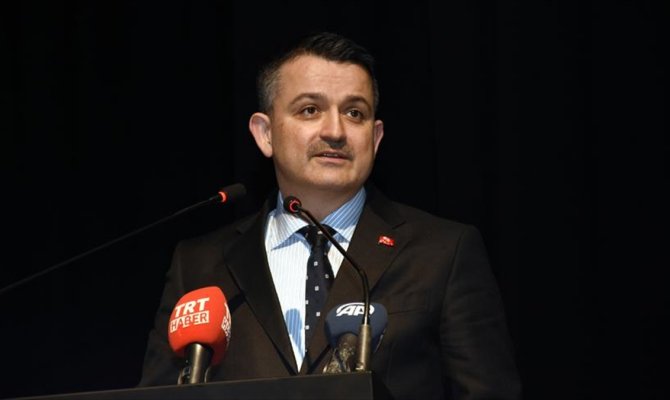 2022 yılında hayvan ihraç eden ülke sınıfına gireceğiz