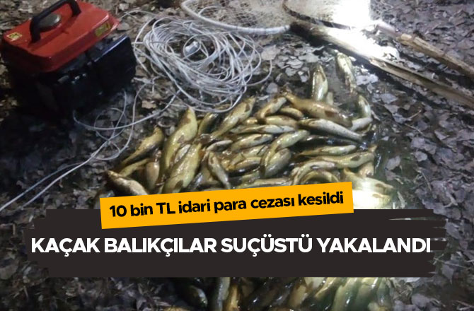 Kaçak balıkçılar suçüstü yakalandı