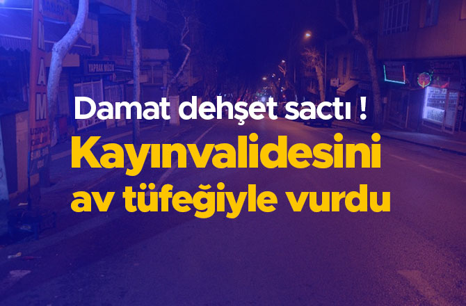 Kahramanmaraş'ta dehşet! Kayınvalidesini av tüfeğiyle vurdu