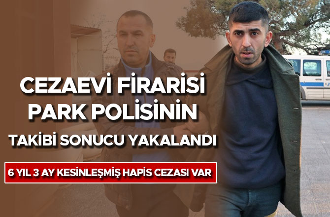 Cezaevi firarisi park polisinin takibi sonucu yakalandı