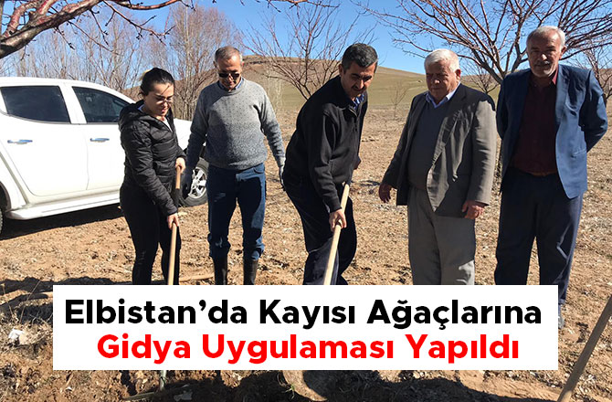 Elbistan’da Kayısı Ağaçlarına Gidya Uygulaması Yapıldı