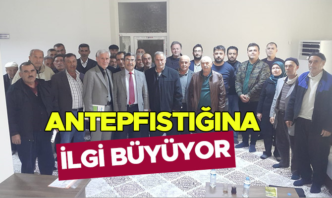 Antepfıstığına İlgi Büyüyor