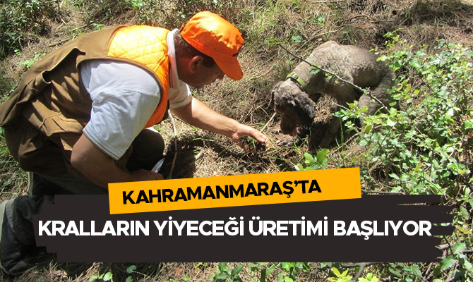 Kahramanmaraş’ta kralların yiyeceği üretimi başlıyor