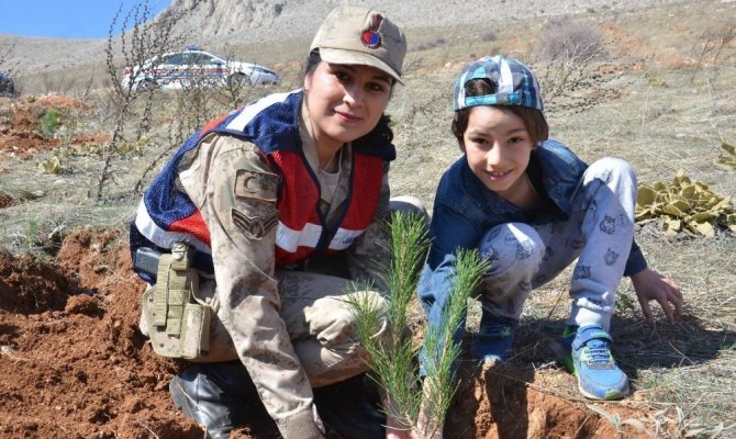 180. yıla özel 180 bin fidan dikildi