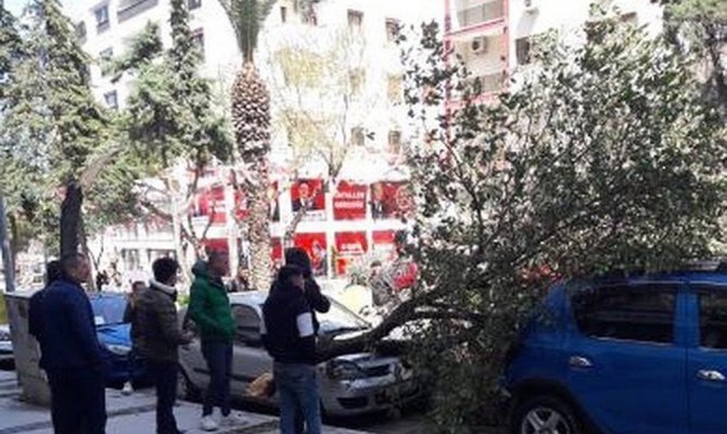 İzmir’de şiddetli fırtına: Çatılar uçtu, ağaçlar devrildi