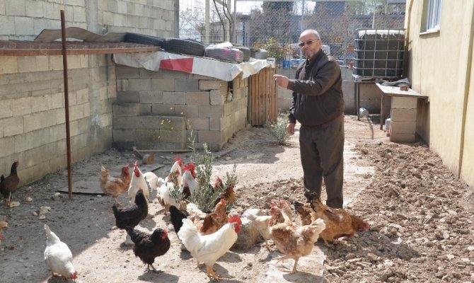 Kaportacı esnafın organik üretimini görenleri şaşırttı