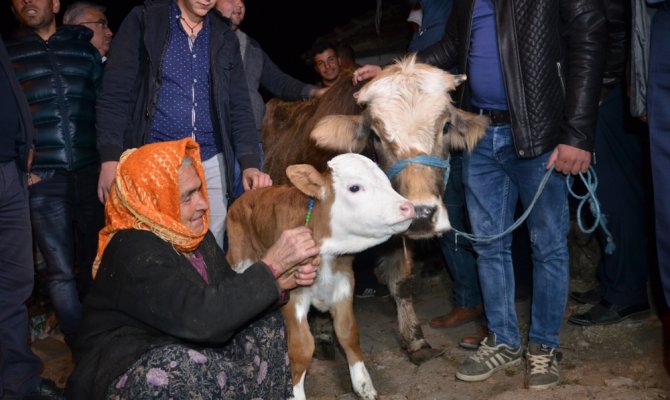 O nine için Bakanlık harekete geçti