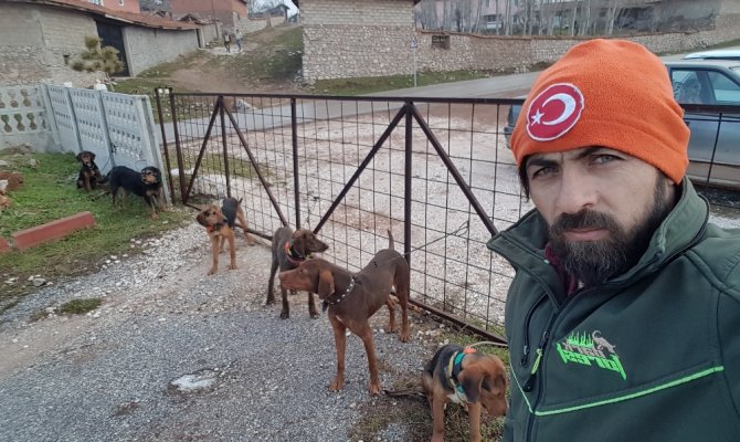 Bir köpek katliam haberi de Kütahya’da