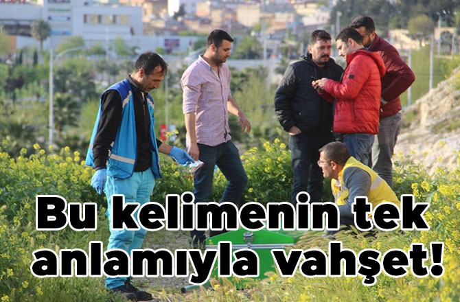 Bu kelimenin tek anlamıyla vahşet