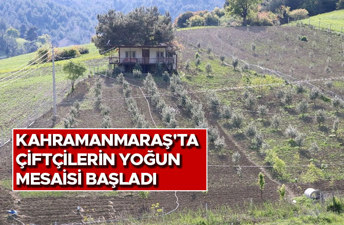 Kahramanmaraş'ta çiftçilerin yoğun mesaisi başladı