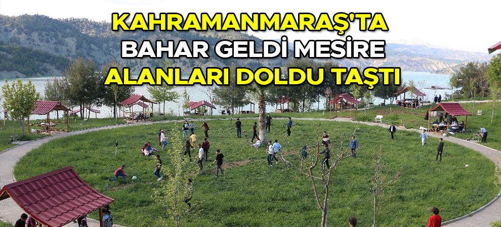 Kahramanmaraş'ta bahar geldi mesire alanları doldu taştı