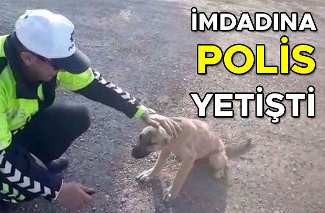 İmdadına polis yetişti