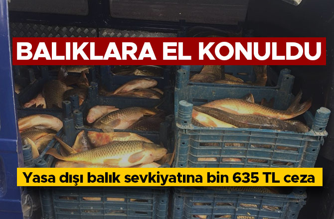 Yasa dışı balık sevkiyatına bin 635 TL ceza