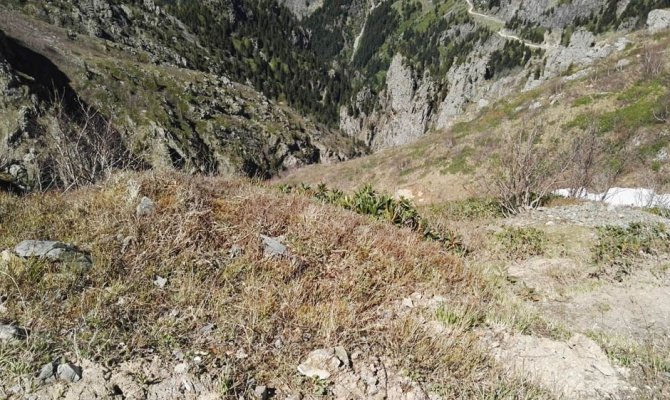 Kayıp gazeteciyi arama çalışmalarında bir ilk kullanılacak