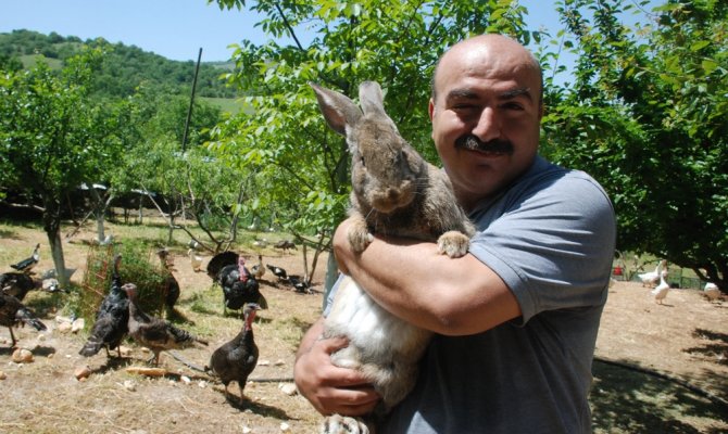 Görenler gözlerine inanamıyor