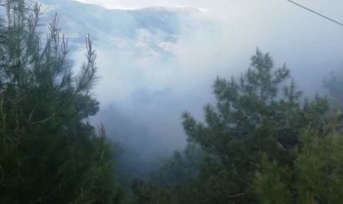 Adıyaman’da yangında 3 hektarlık orman zarar gördü