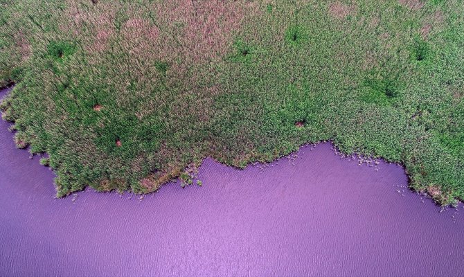 İğneada Longoz Ormanları'nda görsel şölen