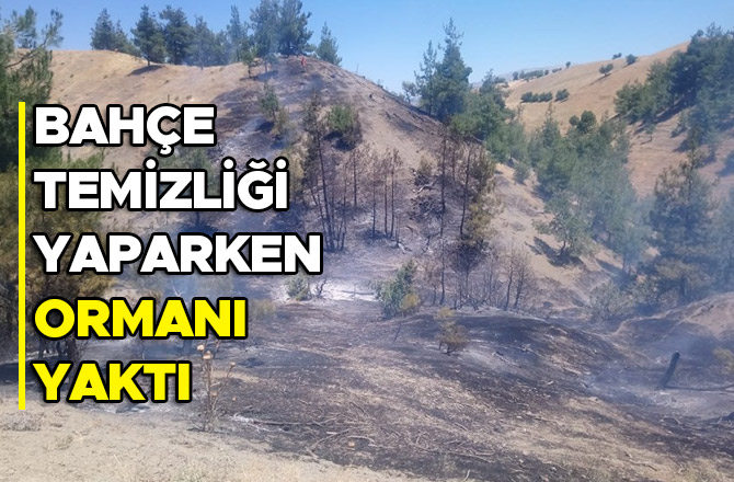 Bahçe temizliği yaparken ormanı yaktı