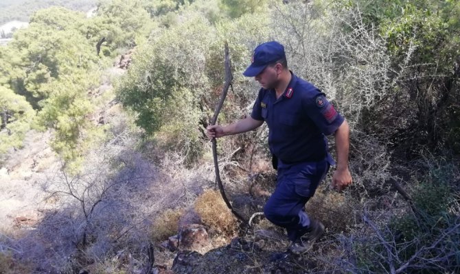 Kayıp Buse için kadavra köpekli arama başlatıldı