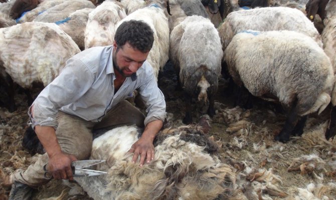 Göçerlerin zorlu yayla yaşamı