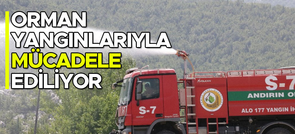 Kahramanmaraş’ta orman yangınlarıyla mücadele ediliyor