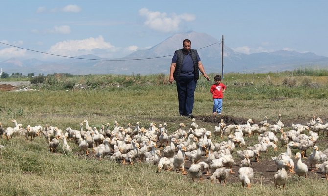 Pazardan aldığı tavukla çiftlik kurdu