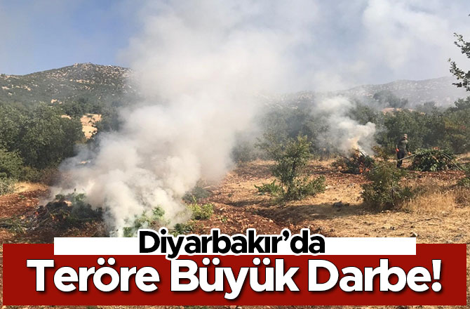 Diyarbakır’da Teröre Büyük Darbe