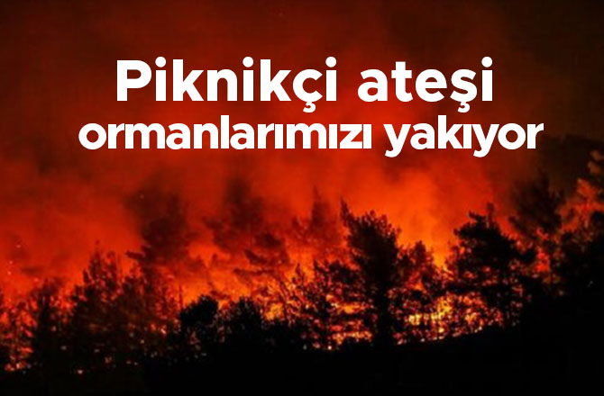 Piknikçi ateşi ormanlarımızı yakıyor