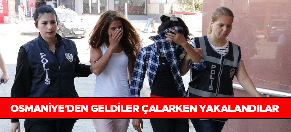 Osmaniye'den geldiler çalarken yakalandılar