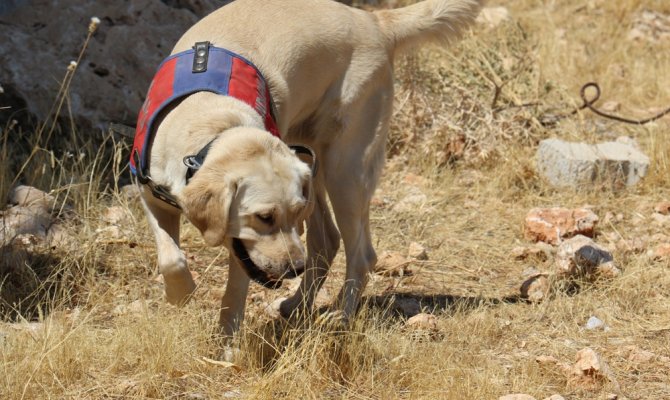 Onlar Kıran-2 operasyonunda teröristlerin korkulu rüyası