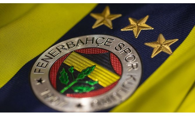 Fenerbahçe Luiz Gustavo'yu transfer etti