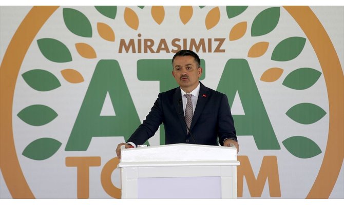 Tarım ve Orman Bakanı Pakdemirli: Bu tohumlar, bu topraklardaki mührümüzdür