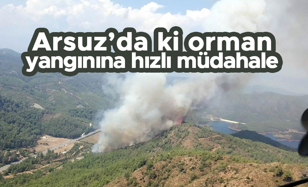 Arsuz’da ki orman yangınına hızlı müdahale