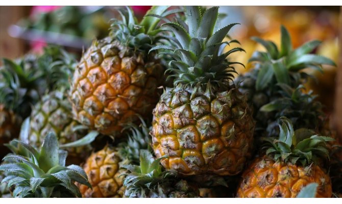 TİKA'dan Gine'de ananas tarımına destek