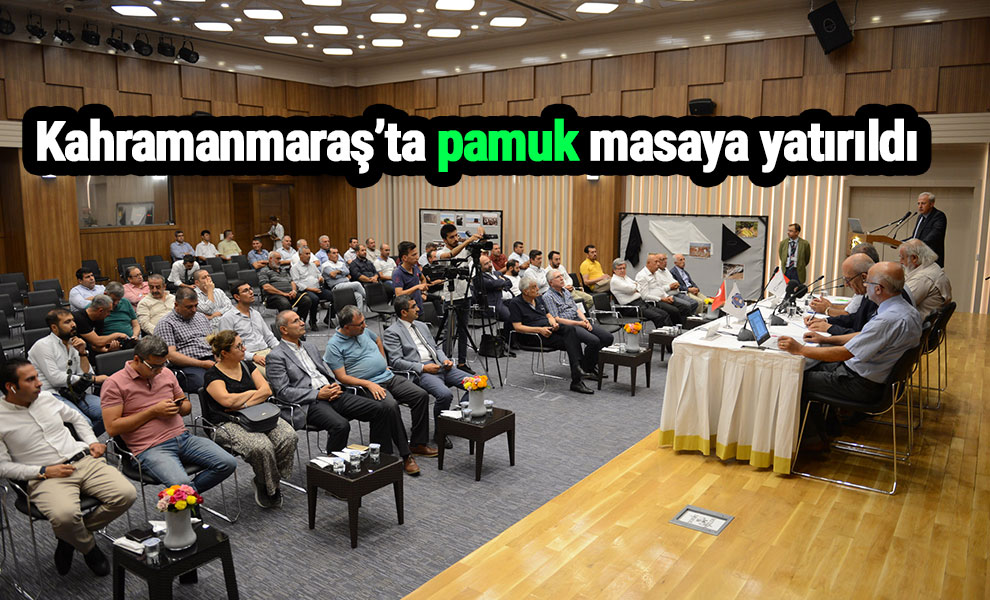 Kahramanmaraş’ta pamuk masaya yatırıldı