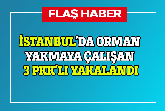 İstanbul’da orman yakmaya çalışan 3 PKK’lı yakalandı